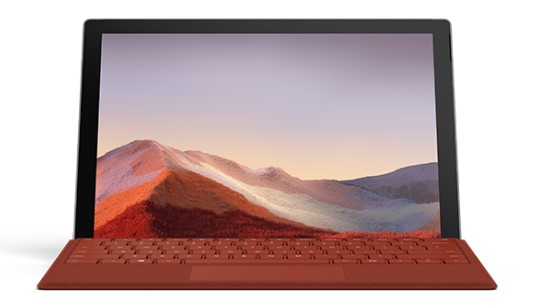 故城清洁和维护 Surface